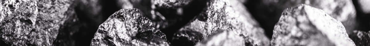 silver002_banner